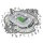 Juventus FC - Allianz Stadium - puzzle en bois taille L (500 pi&egrave;ces)