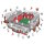 Liverpool FC - Stade Anfield - Puzzle en bois