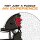 NFL - Tampa Bay Buccaneers - Helm - Holz Puzzle