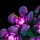 BB LED Lighting Set for LEGO&reg; 10372 Hibiscus