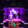 BB LED Lighting Set for LEGO&reg; 76784 Wednesday - Black Dahlia