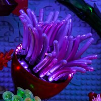 BB LED Beleuchtungs-Set f&uuml;r LEGO&reg; 10366 Tropisches Aquarium inkl. Fernbedienung
