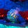 BB LED Beleuchtungs-Set f&uuml;r LEGO&reg; 10366 Tropisches Aquarium inkl. Fernbedienung