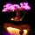 BB LED Lighting Set for LEGO&reg; 10281 Bonsai Tree Pink