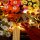 BB Set di illuminazione a LED per LEGO&reg; 10314 Composizione di fiori secchi