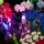 BB Set di illuminazione a LED per LEGO&reg; 10313 Bouquet di fiori selvatici