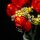 BB LED Lighting Set for LEGO&reg; 10328 Bouquet of Roses