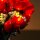 BB LED Lighting Set for LEGO&reg; 10328 Bouquet of Roses