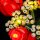 BB LED Lighting Set for LEGO&reg; 10328 Bouquet of Roses
