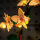 BB LED Beleuchtungs-Set f&uuml;r LEGO&reg; 10343 Mini Orchidee