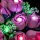 BB LED Beleuchtungs-Set f&uuml;r LEGO&reg; 10374 Rosa Rosenstrauss