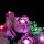 BB LED Beleuchtungs-Set f&uuml;r LEGO&reg; 10374 Rosa Rosenstrauss