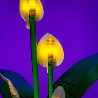 LMB 2.0 Ensembles d&eacute;clairage LEGO&reg; 11504 Les fleurs de lune