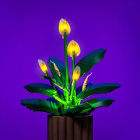 LMB 2.0 Ensembles d&eacute;clairage LEGO&reg; 11504 Les fleurs de lune
