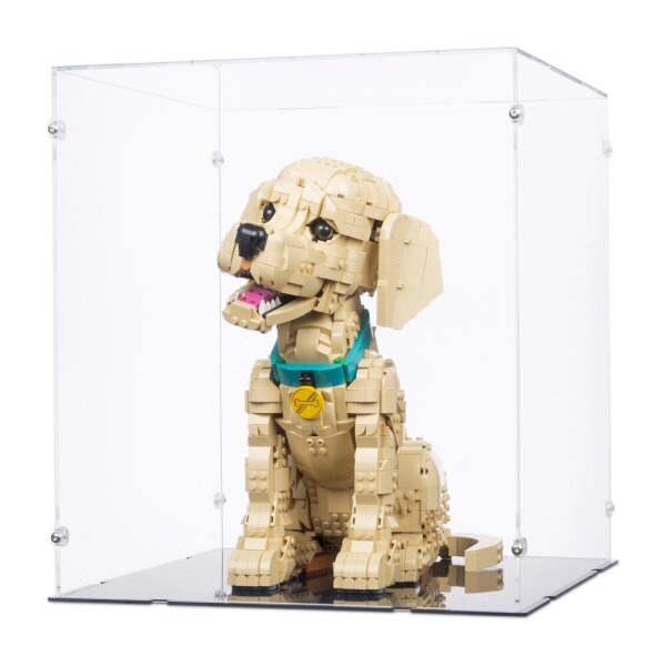 Pr&eacute;sentoir en acrylique pour LEGO&reg; 11384 Le chiot Golden Retriever (avec fond noir)
