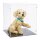Pr&eacute;sentoir en acrylique pour LEGO&reg; 11384 Le chiot Golden Retriever (avec fond noir)