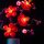 BB LED Beleuchtungs-Set f&uuml;r LEGO&reg; 10369 Pflaumenbl&uuml;te
