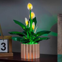BB Set di illuminazione a LED per LEGO&reg; 11504 Spatifillo
