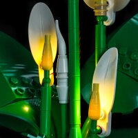 BB Set di illuminazione a LED per LEGO&reg; 11504 Spatifillo
