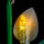 BB Set di illuminazione a LED per LEGO&reg; 11504 Spatifillo