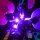 BB Set di illuminazione a LED per LEGO&reg; 43288 Disney - Vaso di fiori di Sally