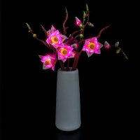 BB Kit d&eacute;clairage LED pour LEGO&reg; 11510 Branches de magnolia