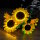 BB LED Beleuchtungs-Set f&uuml;r LEGO&reg; 11502 Sonnenblumen