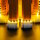 BB LED Beleuchtungs-Set f&uuml;r LEGO&reg; 21376 Orangefarbene Katze