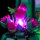 BB LED Beleuchtungs-Set f&uuml;r LEGO&reg; 11509  Bl&uuml;hender Kaktus inkl. Fernbedienung
