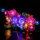BB LED Lighting Set for LEGO&reg; 11503 Flowers on the Wall incl. remote control