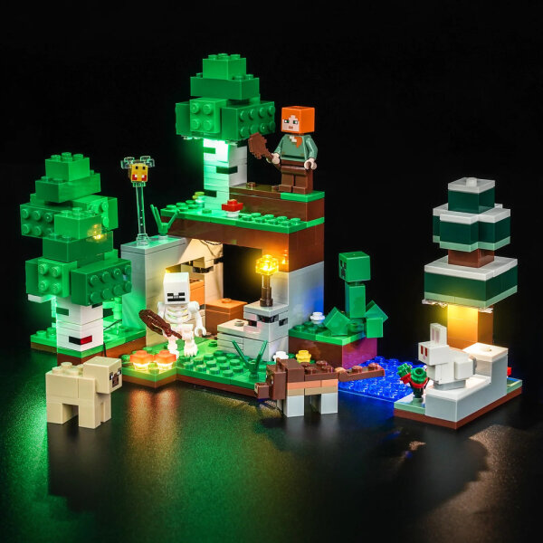 BB LED Lighting Set for LEGO&reg; 21593 Minecraft - First Night Adventure