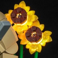BB LED Lighting Set for LEGO&reg; 72423 Shrek, Donkey & Puss in Boots including remote control