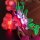 BB Kit d&eacute;clairage LED pour LEGO&reg; 43293 Kakamora