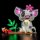 BB Kit d&eacute;clairage LED pour LEGO&reg; 43292 Disney - Pua