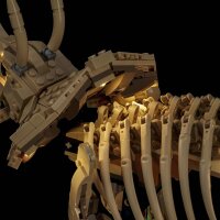 BB LED Lighting Set for LEGO&reg; 77985 Dinosaur Fossils - Triceratops including remote control
