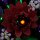 BB Kit d&eacute;clairage LED pour LEGO&reg; 11513 La composition florale sombre