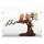 Acrylic display for LEGO&reg; 21365 Love Birds (With black floor)