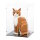 Acryl-Display f&uuml;r LEGO&reg; 21376 Orangefarbene Katze (Mit schwarzem Boden)