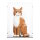 Acryl-Display f&uuml;r LEGO&reg; 21376 Orangefarbene Katze (Mit schwarzem Boden)