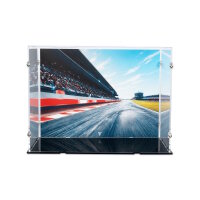 Acrylic display for 2 x LEGO&reg; F1 helmets (With background image & black base)