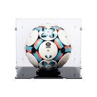 Pr&eacute;sentoir en acrylique pour LEGO&reg; 43019 Le...