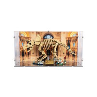 Acrylic display for LEGO&reg; 77985 Dinosaur Fossils - Triceratops (With background image & black base)