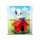 Acryl-Display f&uuml;r LEGO&reg; 21368 Peanuts -Snoopys Hundeh&uuml;tte (Mit Hintergrundbild & schwarzem Boden)