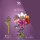 Stone Heap - Single Hyacinth Flower (85 Pieces)