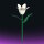 Stone Heap - Single White Orchid Flower (31 Pieces)