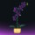 Stone Heap - Orchidee im Topf (223 Teile)