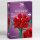 Stone Heap - Roter Rosenstrauss mit 9 Rosen (483 Teile)